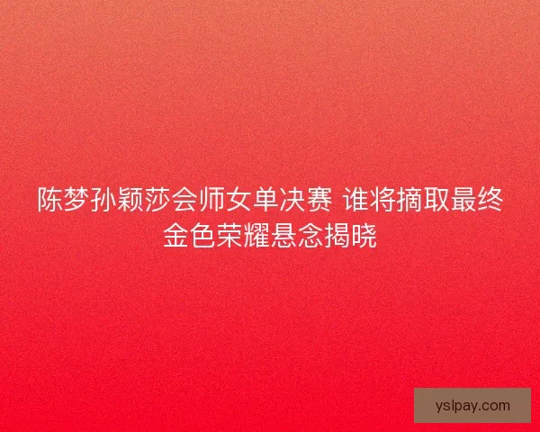 陈梦孙颖莎会师女单决赛 谁将摘取最终金色荣耀悬念揭晓