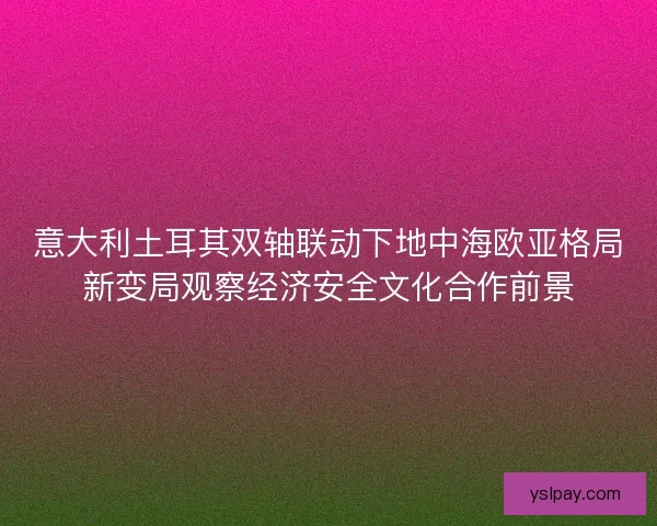 意大利土耳其双轴联动下地中海欧亚格局新变局观察经济安全文化合作前景