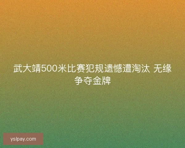 武大靖500米比赛犯规遗憾遭淘汰 无缘争夺金牌 武大靖500米比赛犯规遗憾遭淘汰 无缘争夺金牌